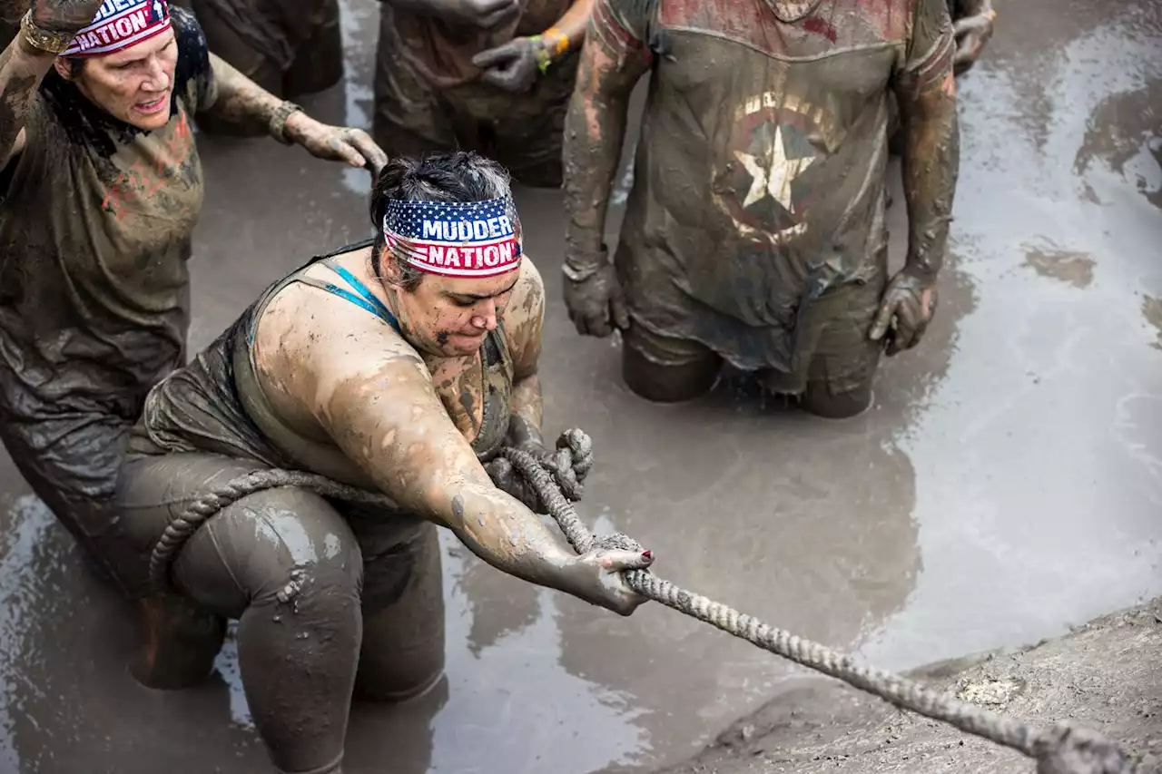 Sonoma County Tough Mudder Event — Where Some Claimed to Smell ‘Cow Manure’ on Field — Sickens Hundreds