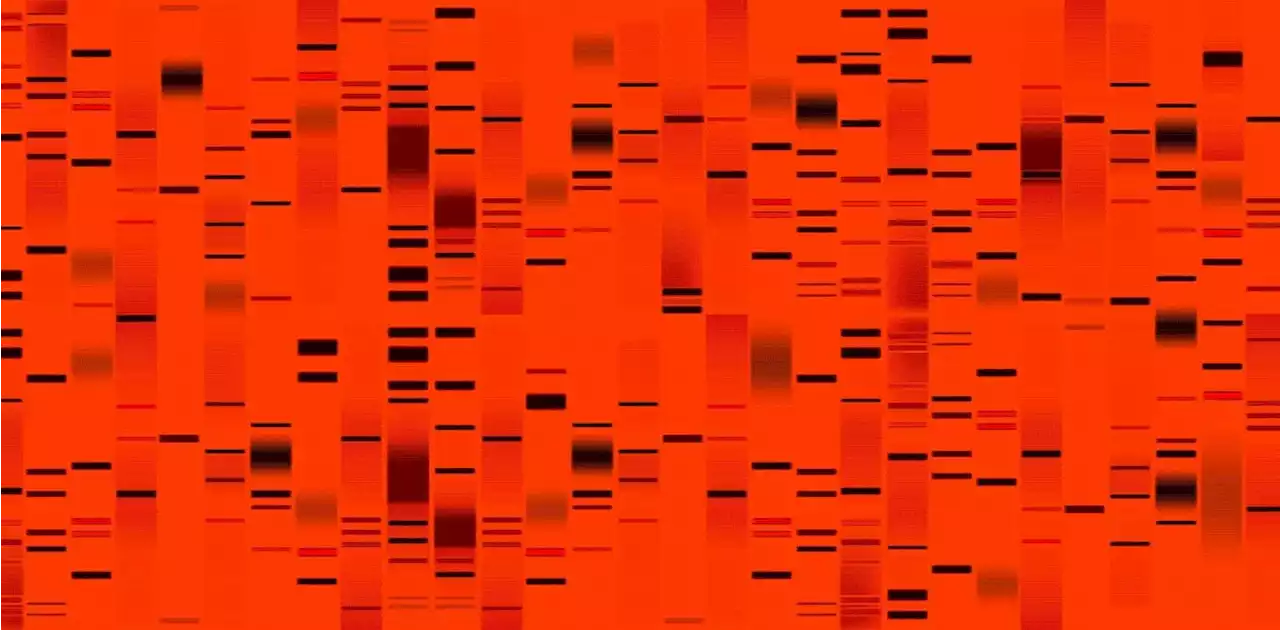 How a failed experiment led to researchers showing that assumptions about chromosomal behavior were wrong