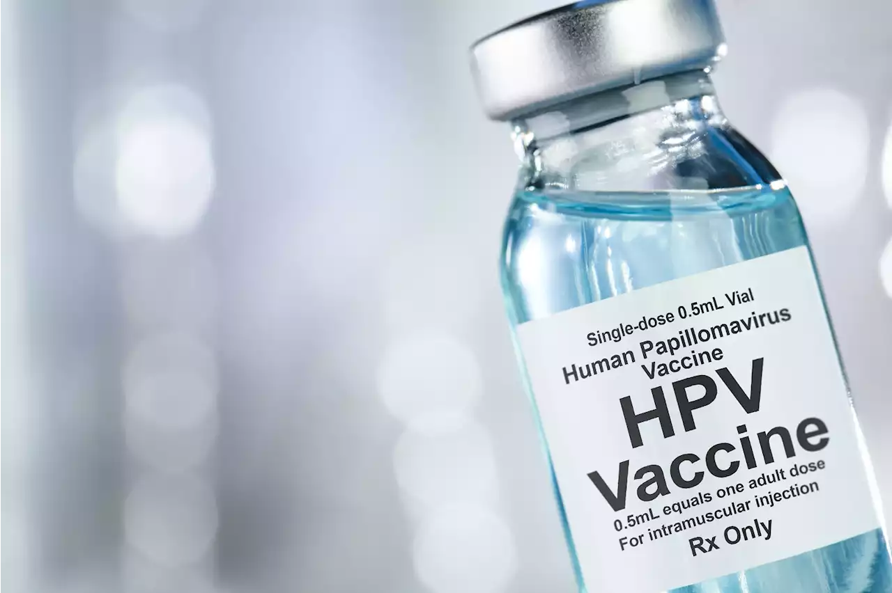 Nigerian govt set to introduce HPV vaccines to protect girls against cervical cancer