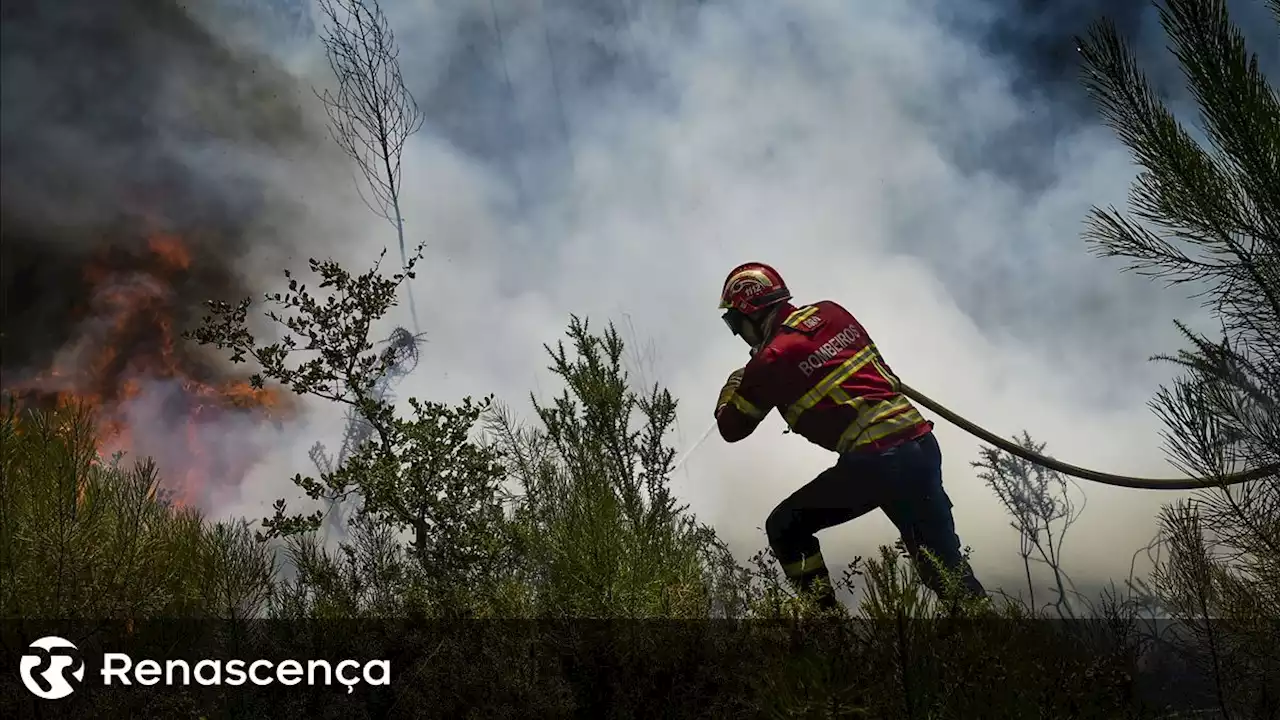 Perigo máximo de incêndio em trinta e oito concelhos de oito distritos