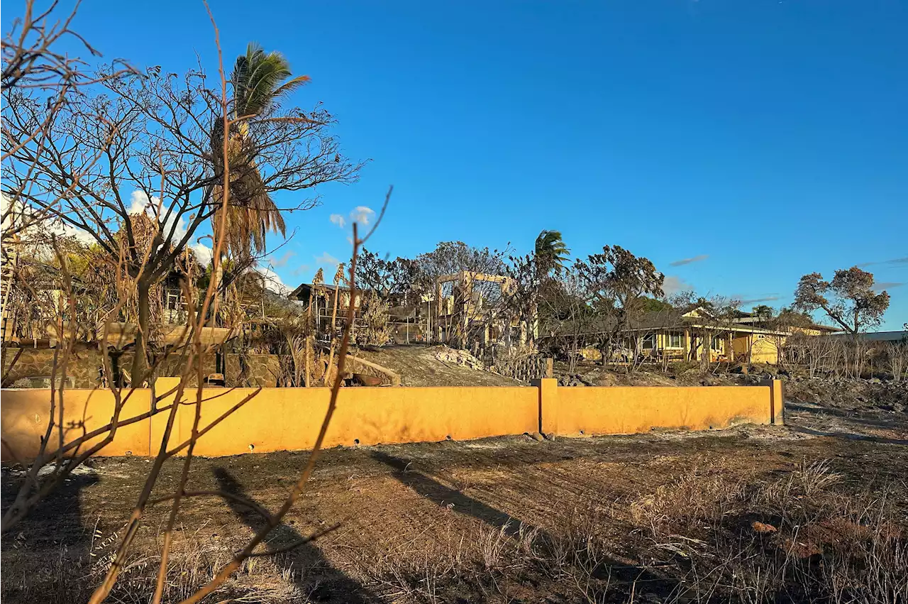 Hawaiian Electric calls Maui county's wildfire lawsuit 'irresponsible'