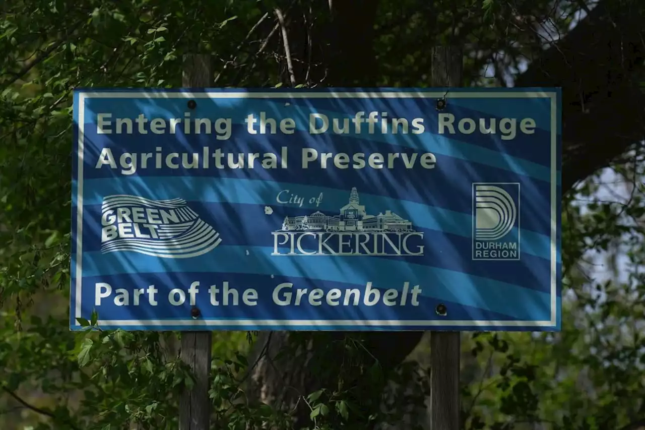 Ontario chiefs unanimously oppose province's Greenbelt land swap