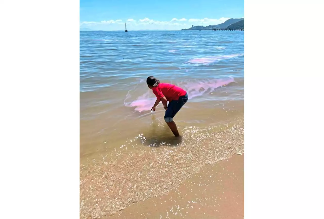 Penang’s sea spotted to be pink again