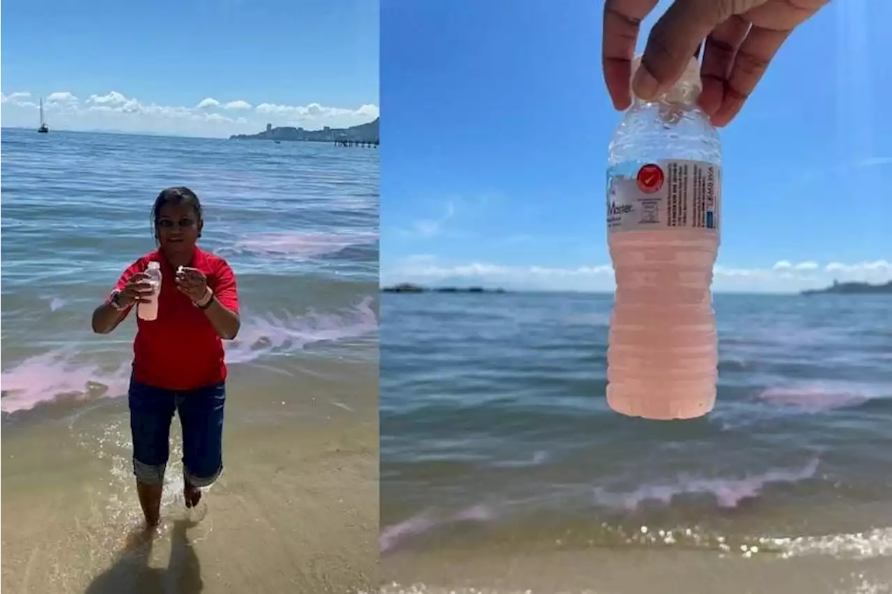 In the pink: Rosy hue returns to seawater around Penang