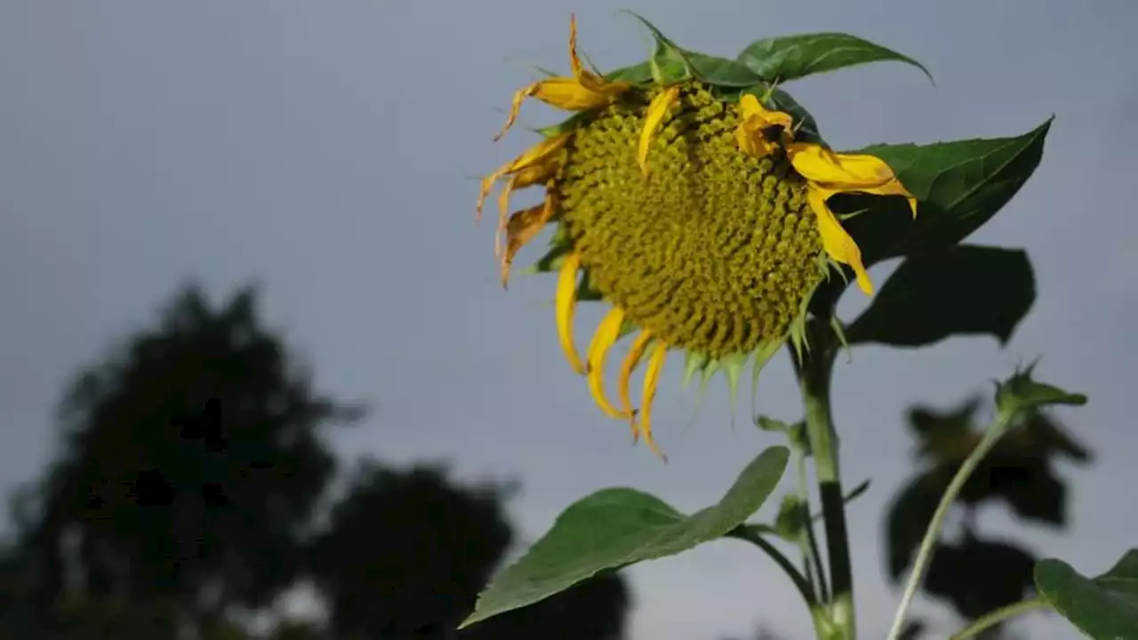 Abschied vom Sommer mit durchwachsenem Wetter