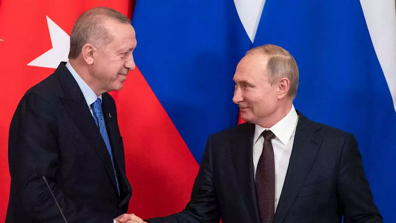 Getreideabkommen: Erdogan will 'bald' zu Gesprächen mit Putin nach Russland reisen