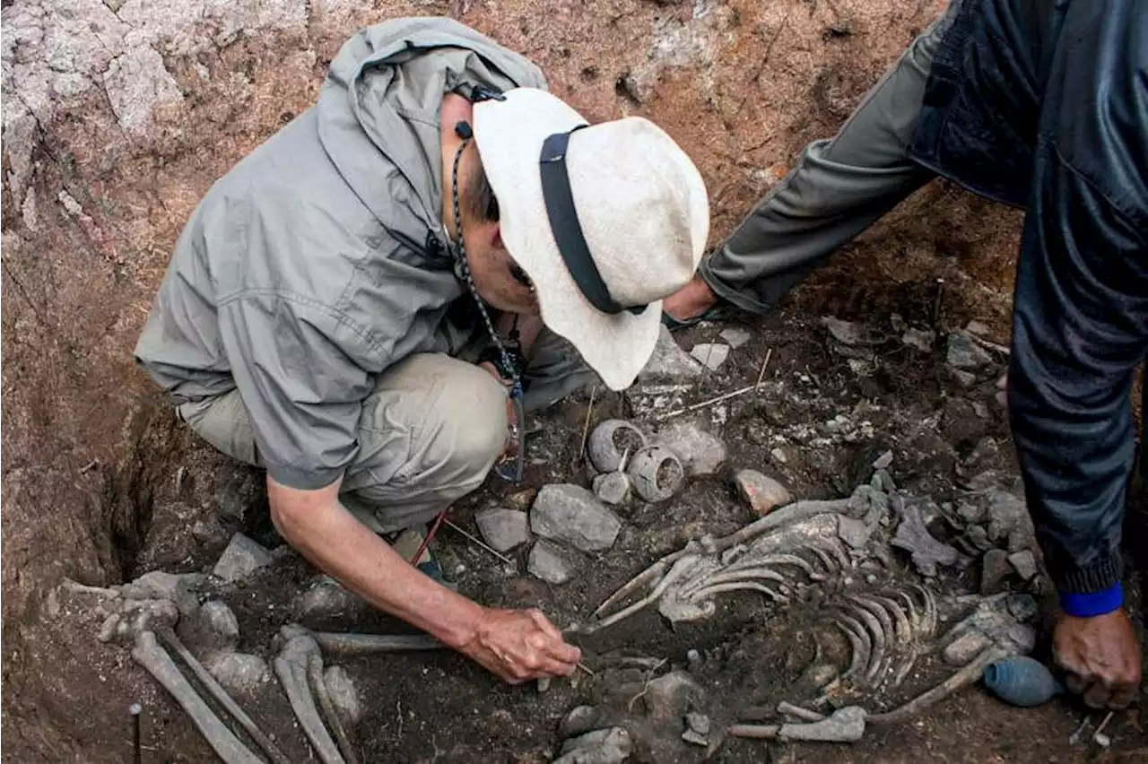 Ancient priest's remains are a first-of-a-kind find for Peru team