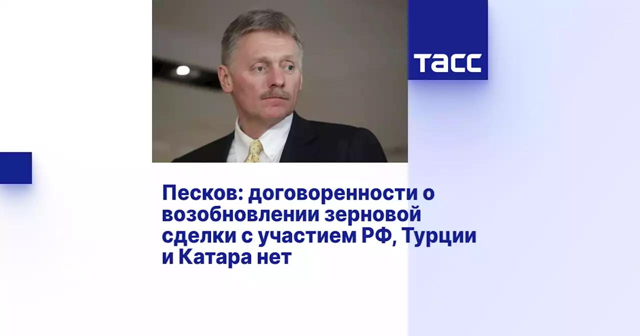 Песков: договоренности о возобновлении зерновой сделки с участием РФ, Турции и Катара нет