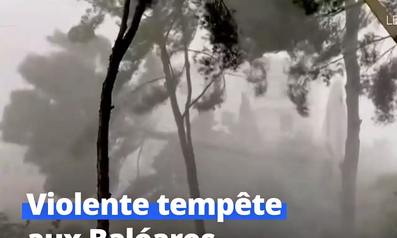 Tempête aux Baléares : 'Une violence extrême' - Le Journal du week-end