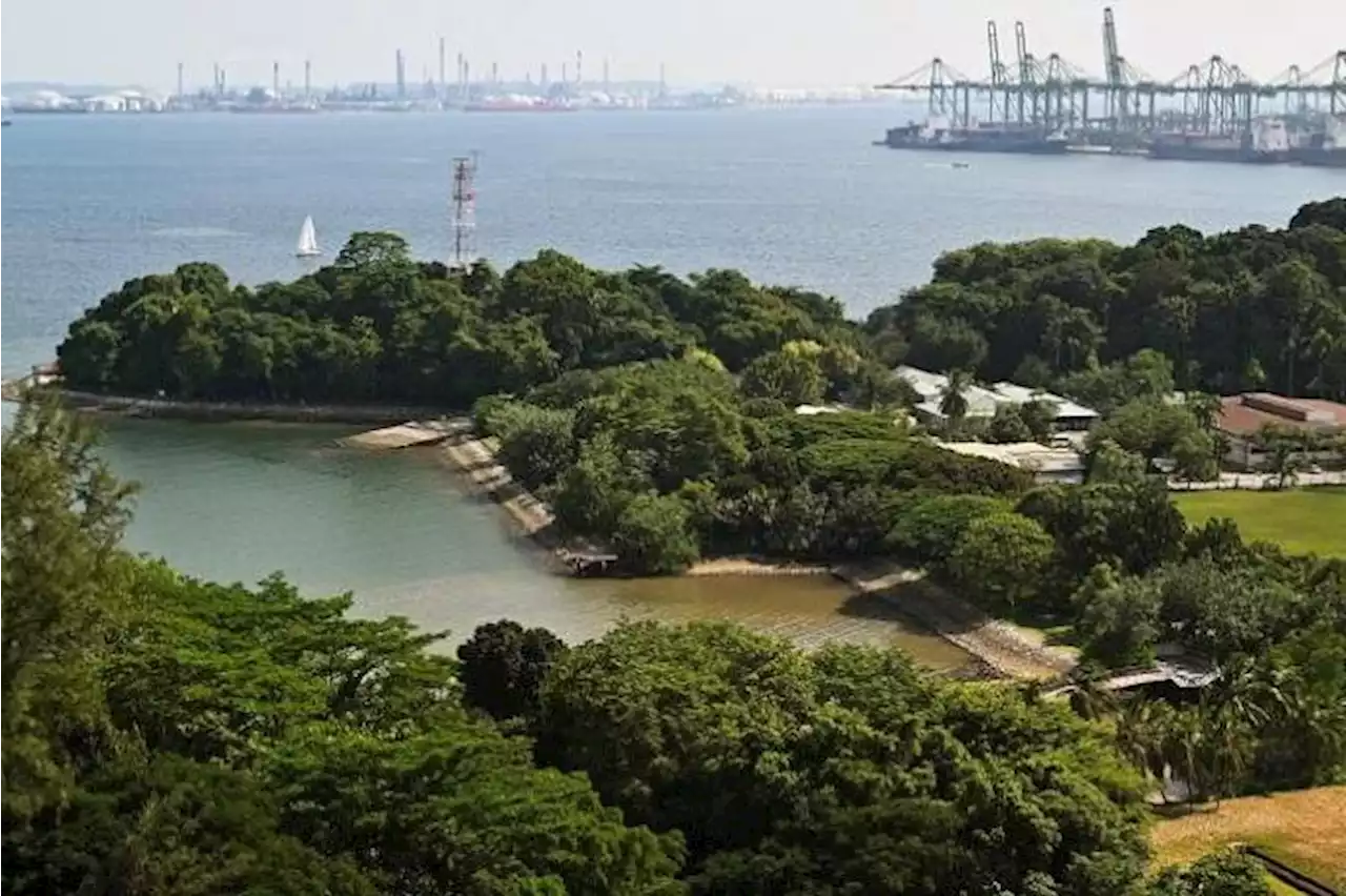 Second man in a week found dead in waters at Keppel Bay, no foul play suspected