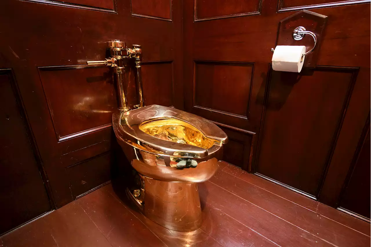 Major breakthrough in hunt for crooks who stole solid gold loo from stately home