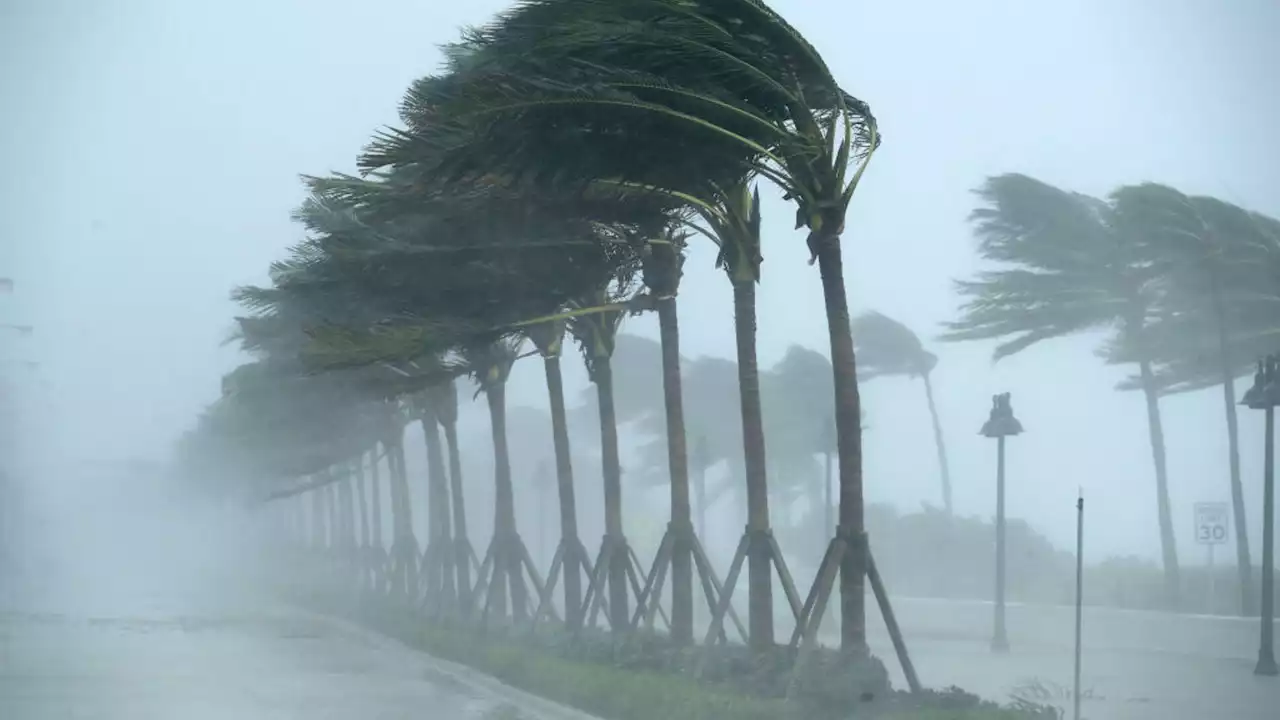 Tormenta Idalia amenaza a Florida con fuertes lluvias y vientos: se pronostica que llegará como huracán