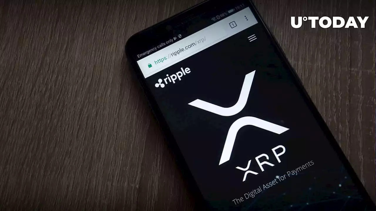 XRP: Important Warning Issued to Community in Wake of This Development