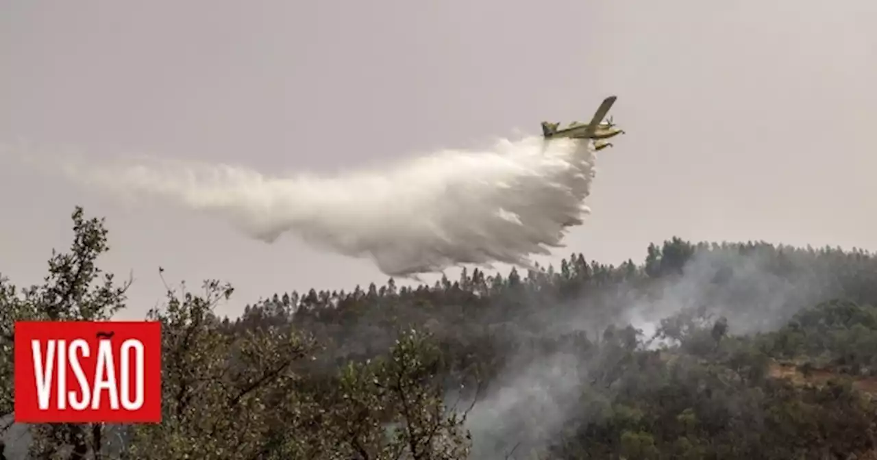 | Trinta e oito concelhos de oito distritos em perigo máximo de incêndio