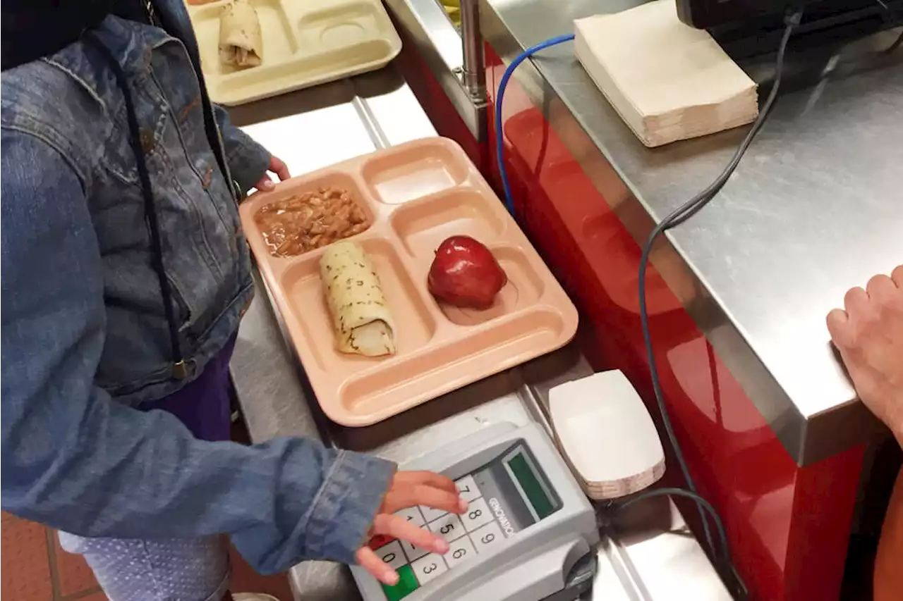 More states are implementing universal school meal programs