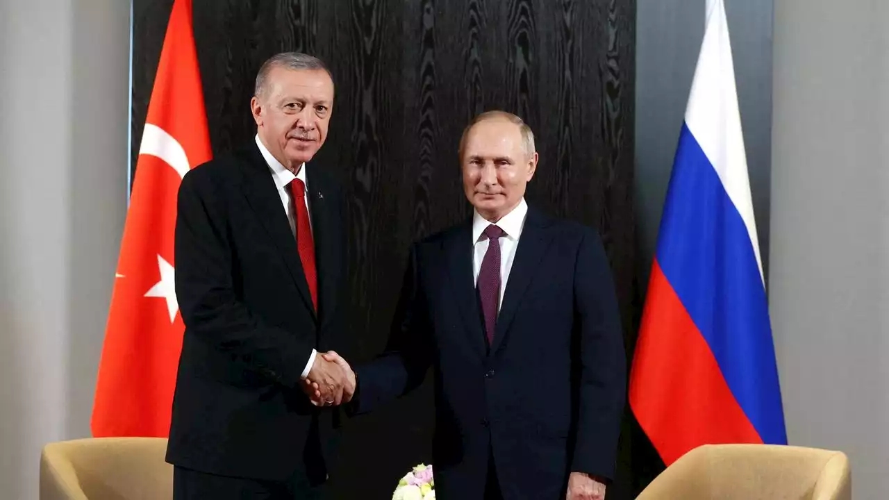 Getreideabkommen: Erdogan plant Gespräche mit Putin