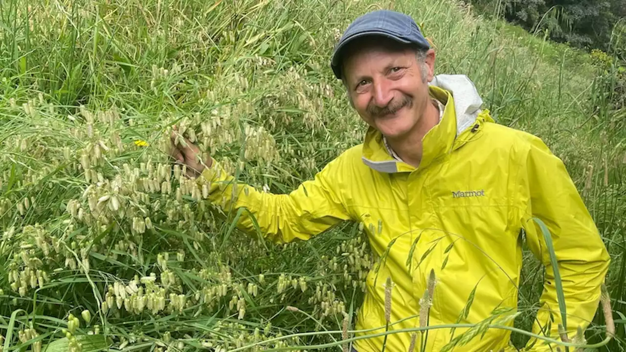 Foragers highlight food safety after parasite likely ingested on foraged greens extracted from woman's brain