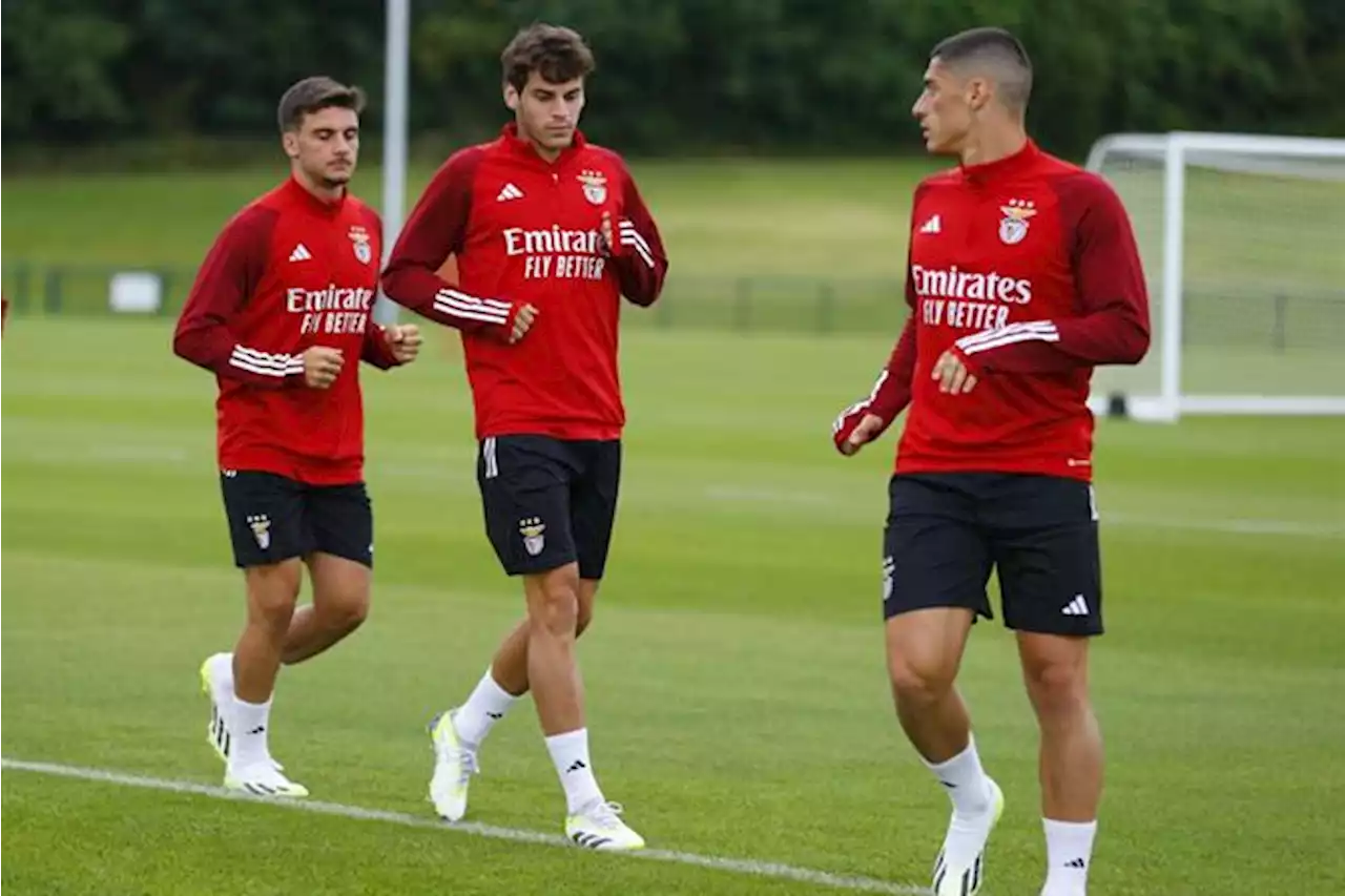 O clube que pode receber Paulo Bernardo (Benfica)