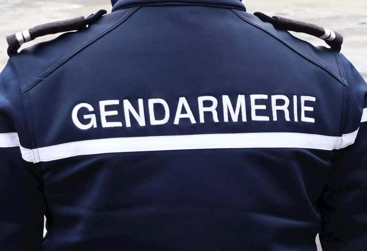 Carambolage mortel sur l'A7 : la gendarmerie de la Drôme lance un appel à témoins