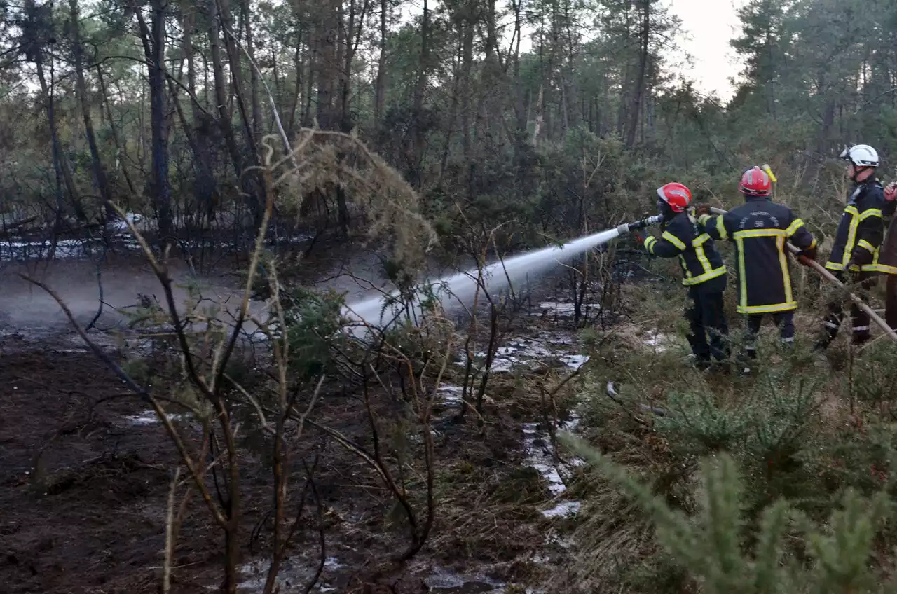 La Gacilly : 1 500 m2 de bois partent en fumée