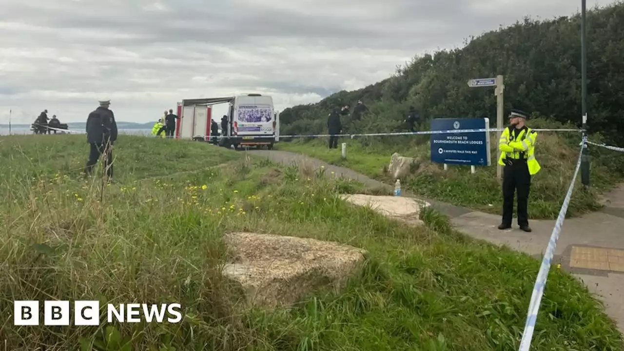 Bournemouth: Searches continue in human remains murder probe