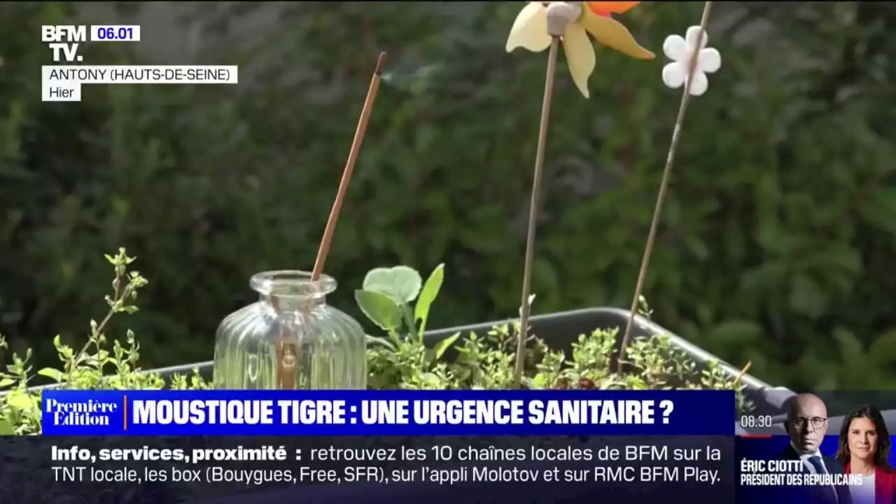 La lutte contre le moustique tigre peut-elle être considérée comme une urgence sanitaire?