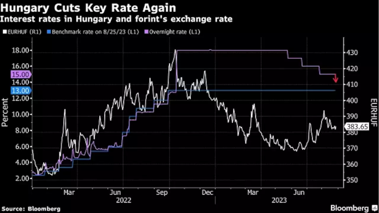 Hungary Cuts Key Interest Rate to 14% as Record Recession Bites