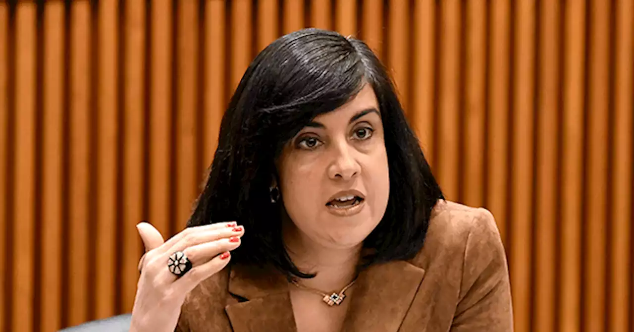 GOP Rep. Malliotakis: Biden, Hochul, Adams 'Doing Everything They Can to Continue Incentivizing Illegal Immigration'