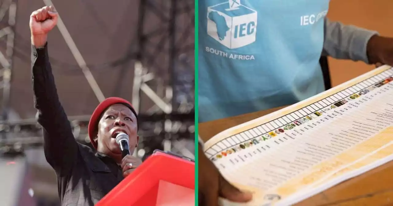 'Big dreamer': SA casts doubt on Malema's confidence that EFF will rule in 2024