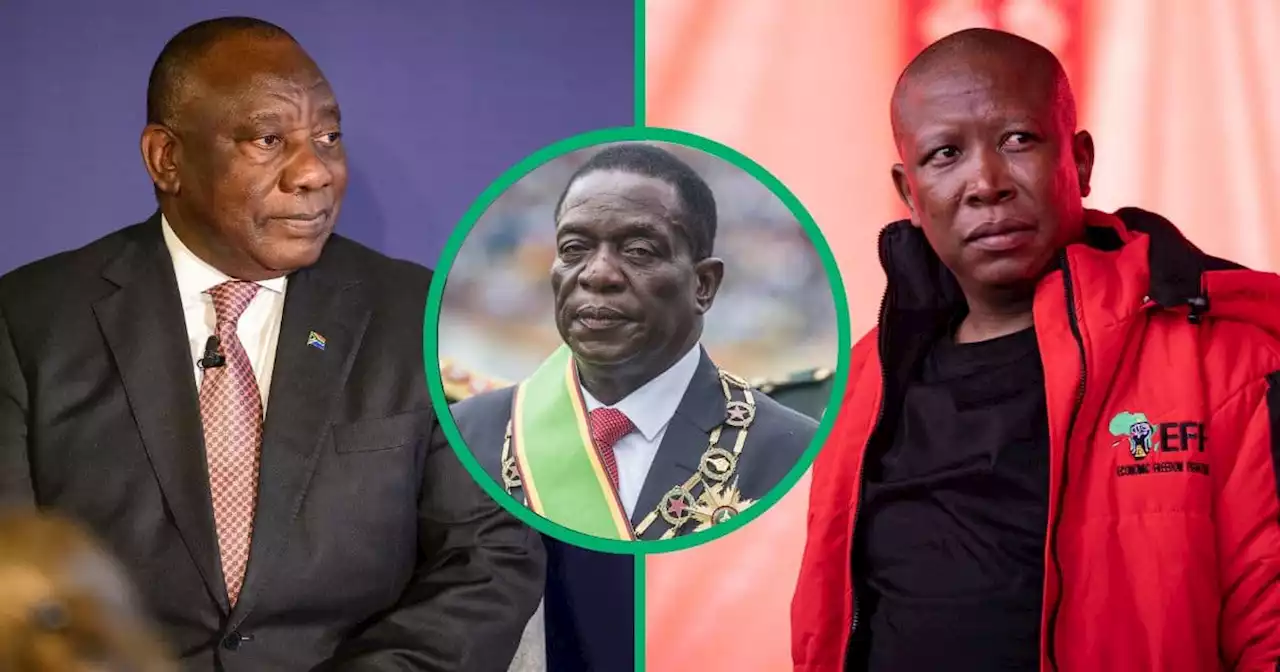 Ramaphosa slammed as politicians and netizens say Zim elections were not fair