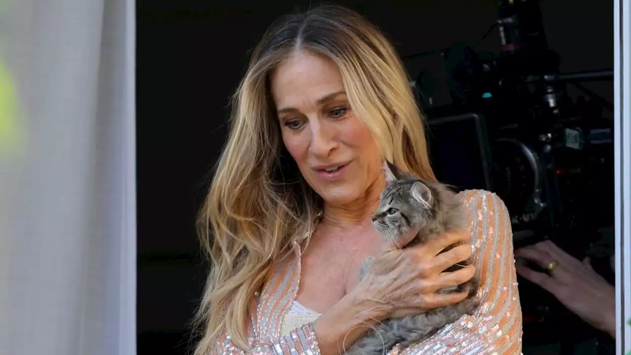 'SATC'-Star adoptierte Katze von Carrie Bradshaw