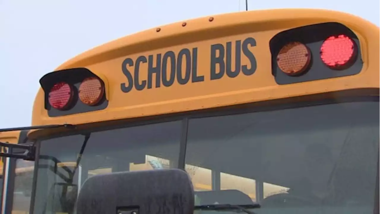 Eastern Ontario school bus companies, STEO reach tentative deal before classes resume