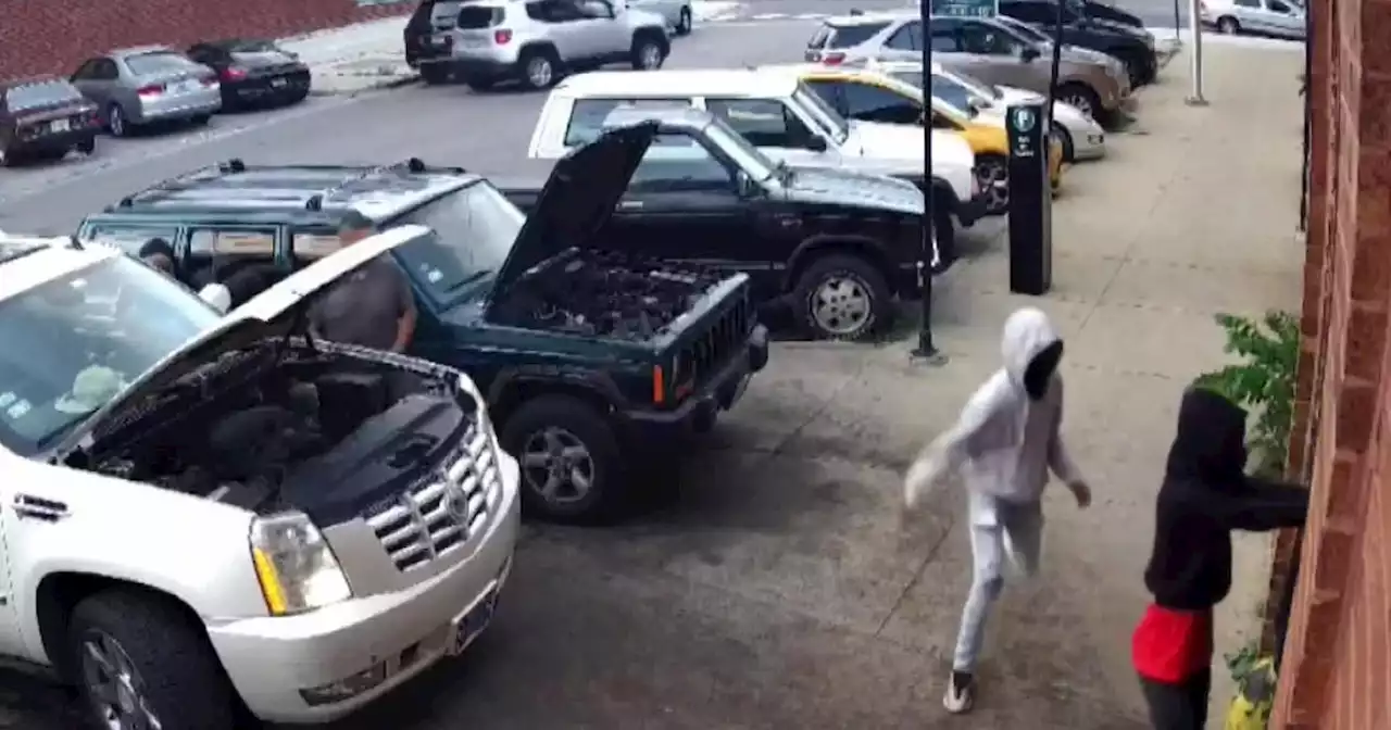 Armed robbery of Logan Square business caught on video