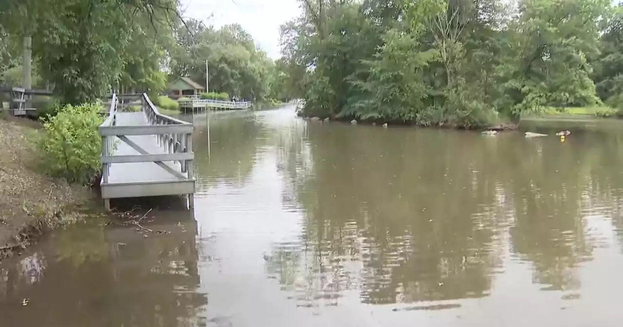 Alligator, believed to be up to 7 feet long, spotted in New Jersey creek