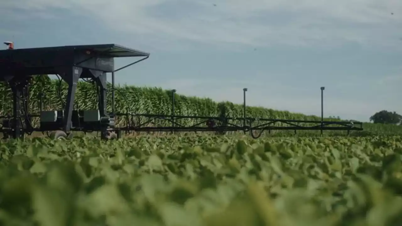 Brazil robot helps farmers scout, spray and protect crops, developer says