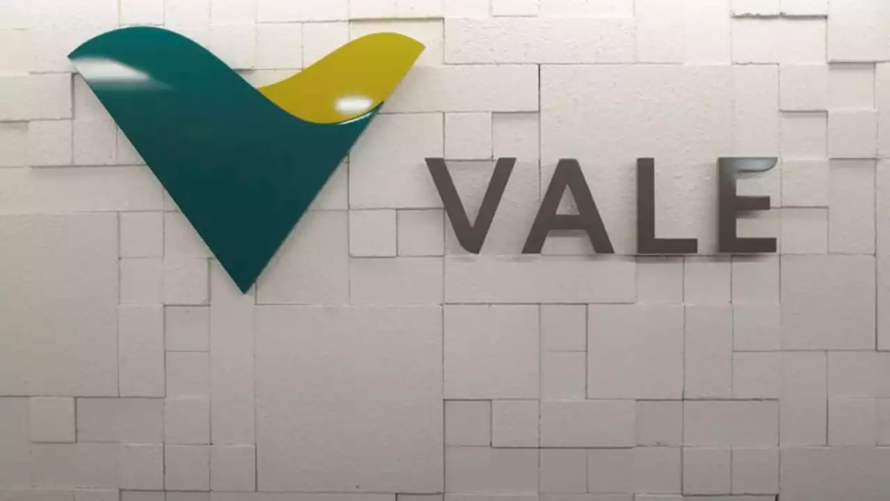 Chinese steel demand declining less than data suggests, says Vale executive