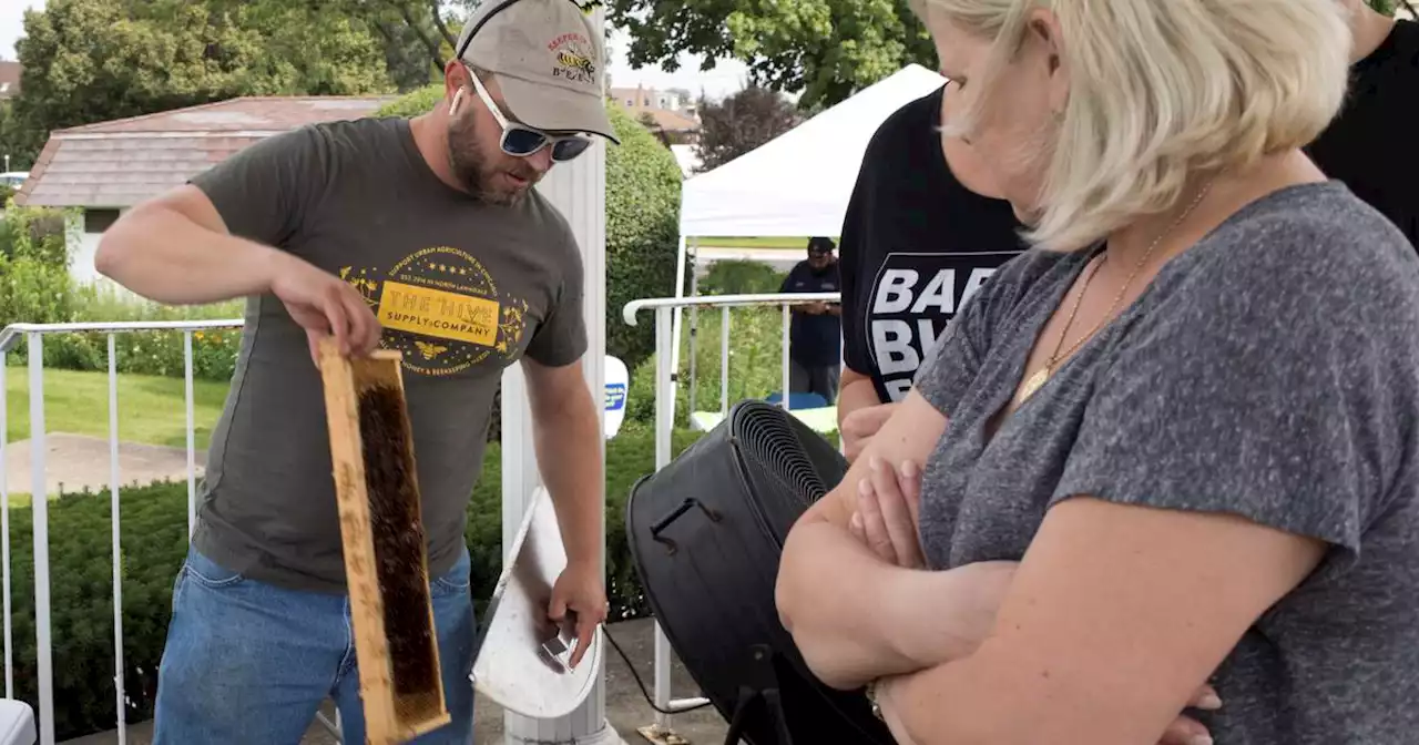 Franklin Park ‘Honey Bee Day’ event showcases hives, honey from Park District