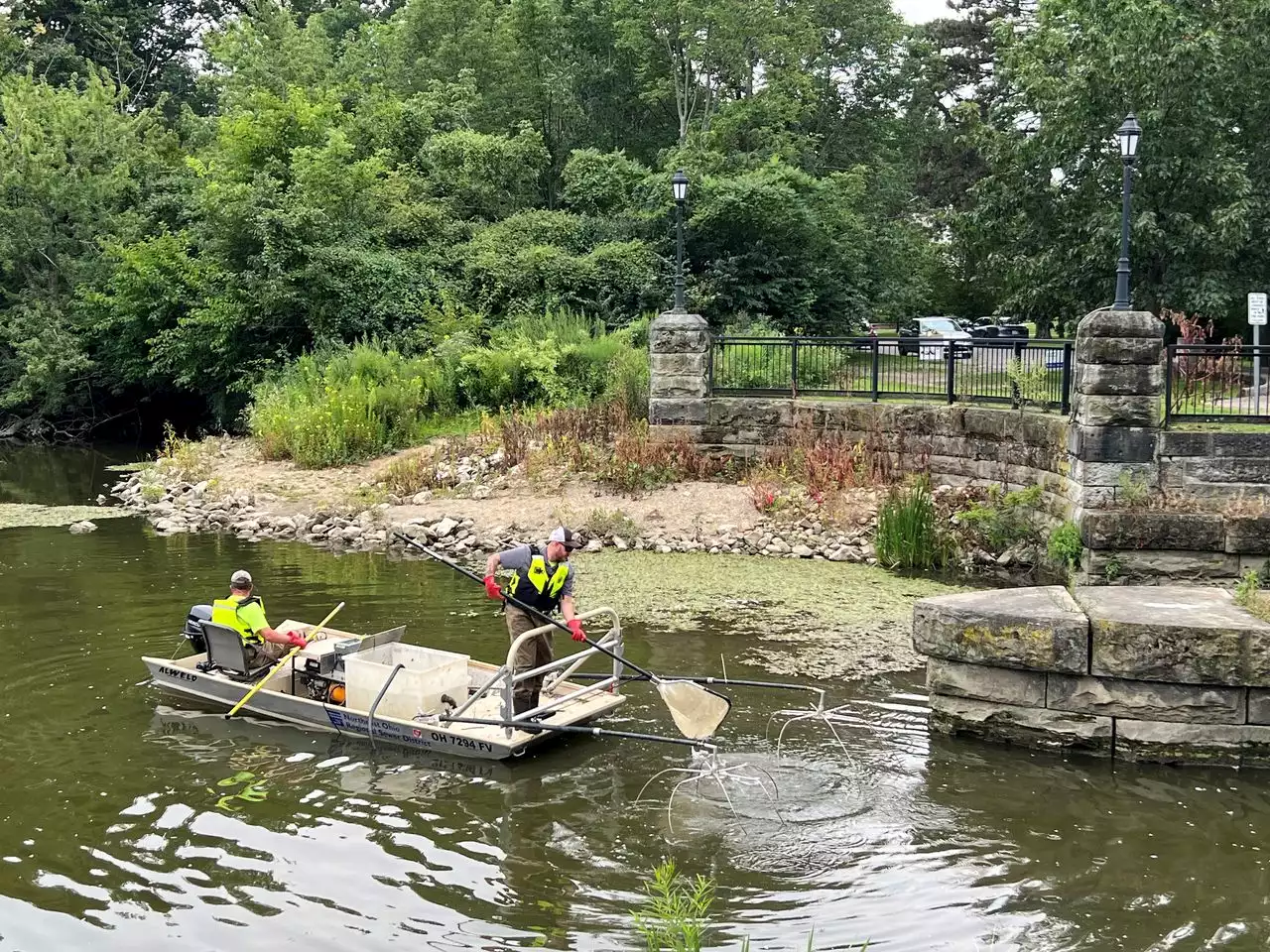 Sewer district preps for Lower Shaker Lake spillway inspection by moving native fish downstream