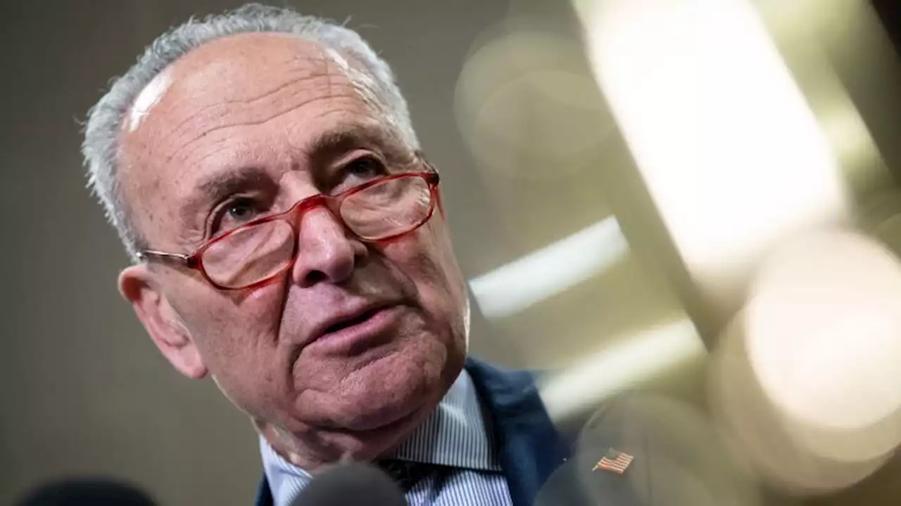 Schumer to host AI forum with major tech CEOs including Zuckerberg and Musk