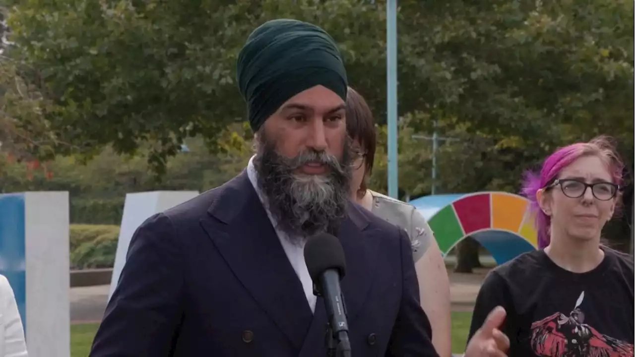 NDP Leader Jagmeet Singh makes campaign-style stop in Nanaimo to push for lower grocery prices