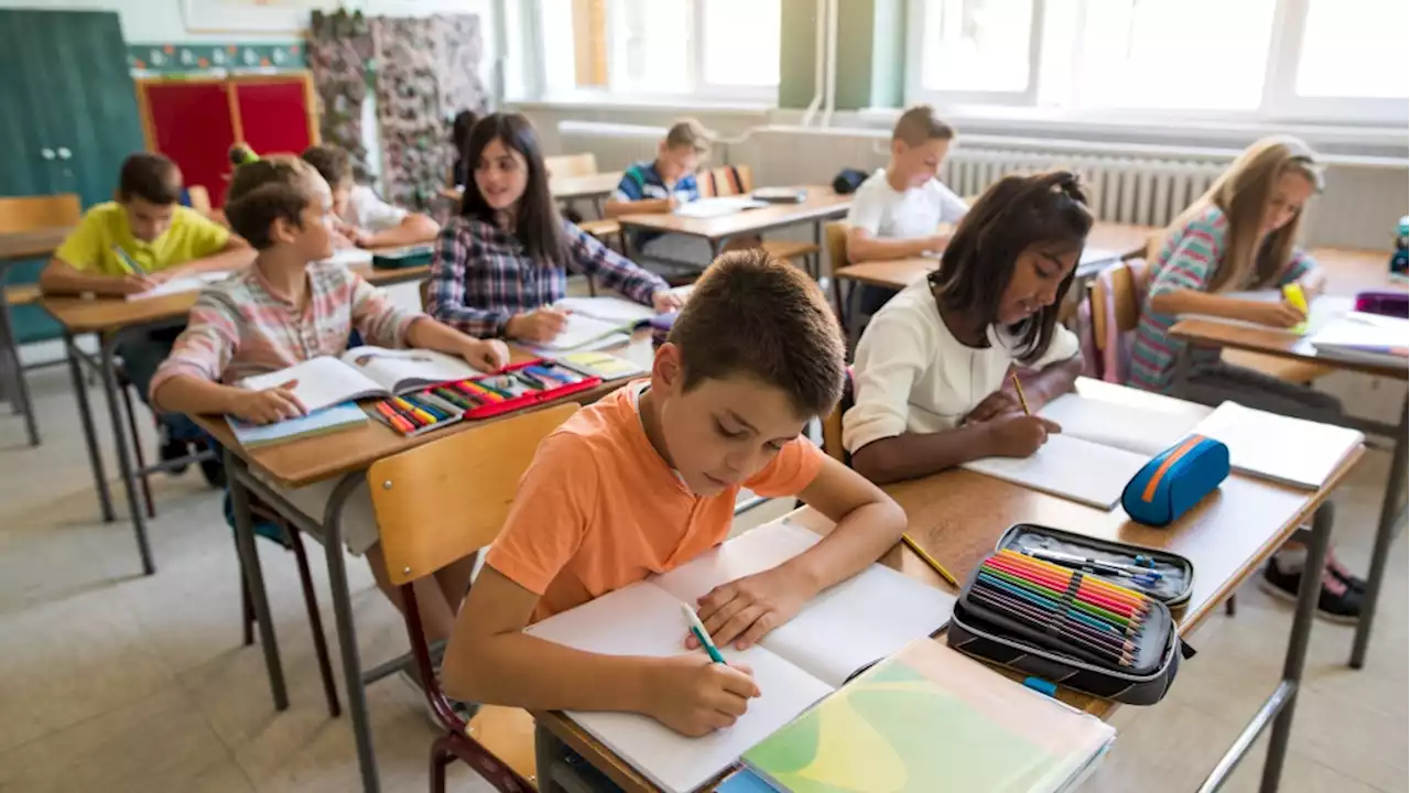 Ontario elementary teachers take next steps ahead of strike vote