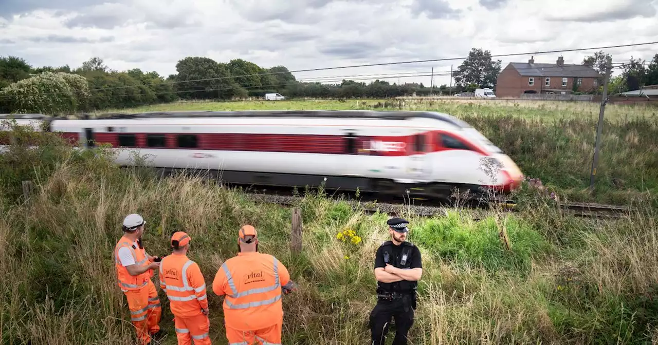 Cop dies after being struck by train while trying to save man's life