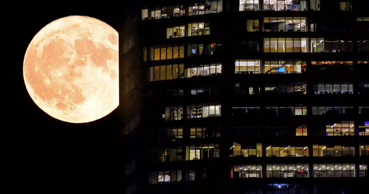 A full blue moon will be visible in Dallas-Fort Worth this week