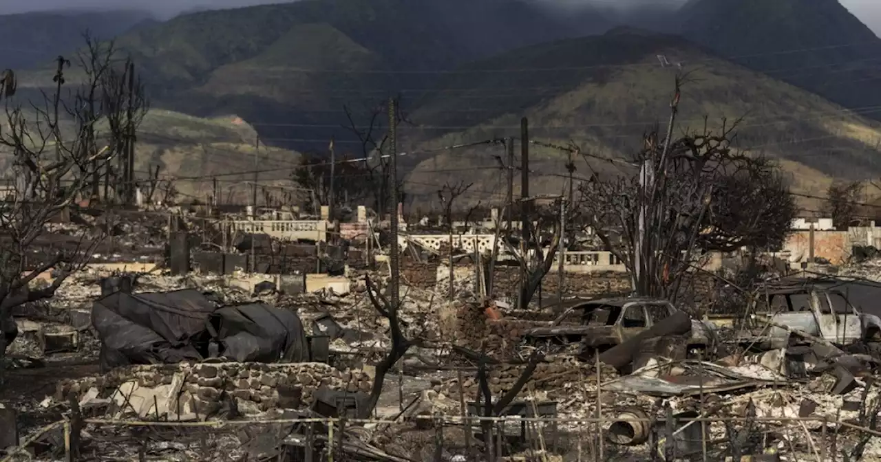 Maui residents to face 'toxic' air after wildfires, Hawaii Health Department says