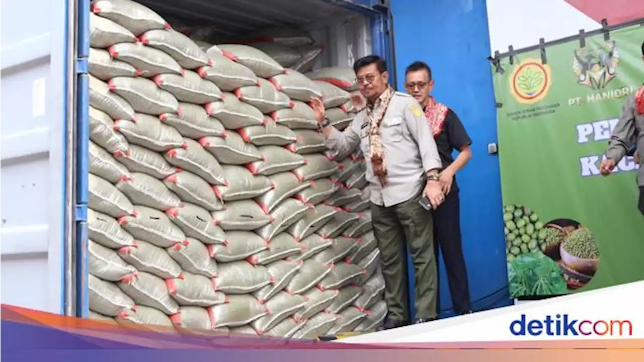 RI Ekspor 1.000 Ton Kacang Hijau ke China Rp 16,8 Miliar