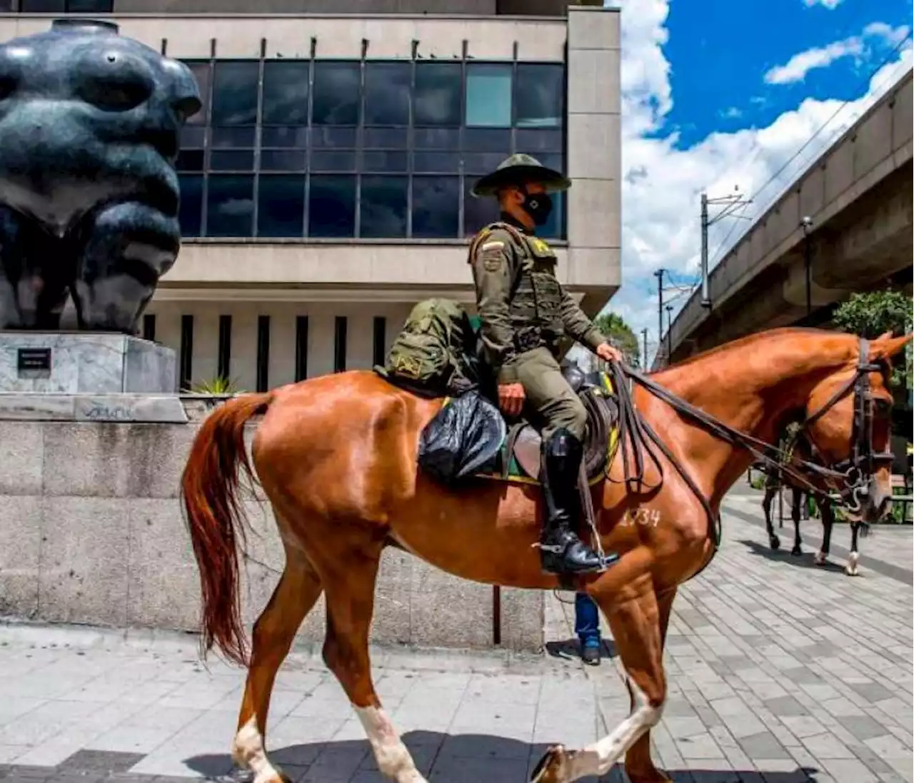 Prohíben a la Fuerza Pública utilizar animales en control de manifestaciones