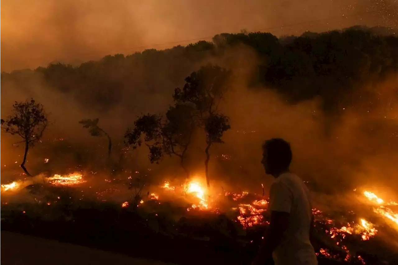 Greek blaze is ‘largest wildfire ever recorded in EU’