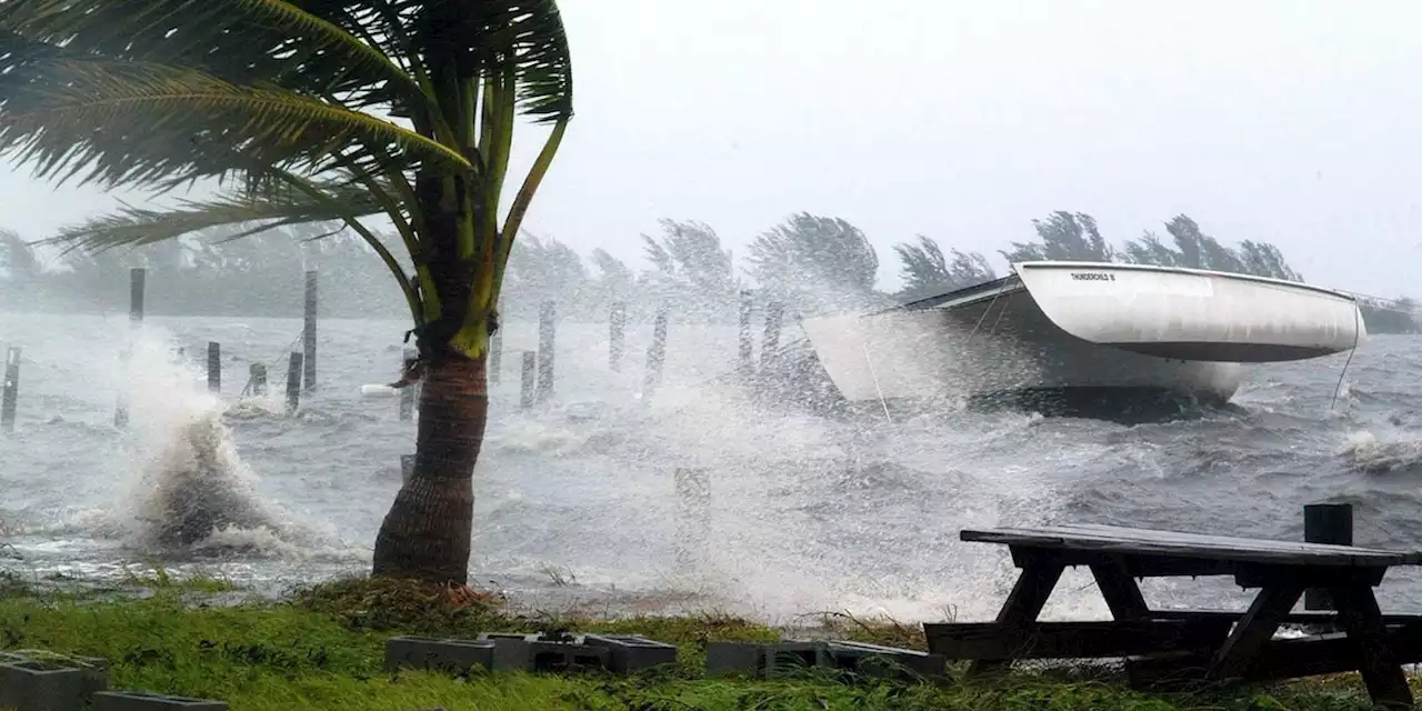 „Idalia“ wird wohl zum Hurrikan - Florida bereitet sich vor