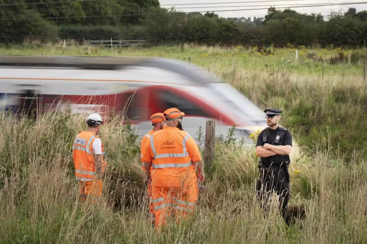 Police officer hit by train while helping distressed man on railway tracks dies