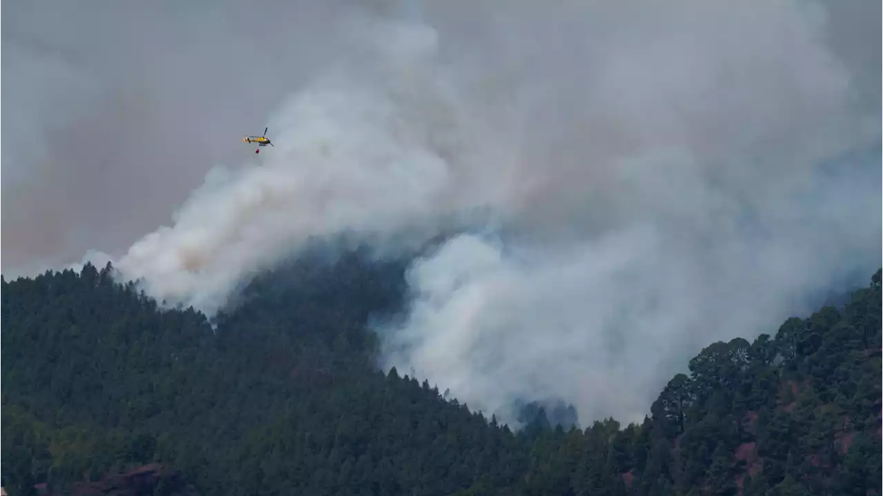 El incendio de Tenerife es el peor fuego de 2023 en España y el más complejo de extinguir en 40 años